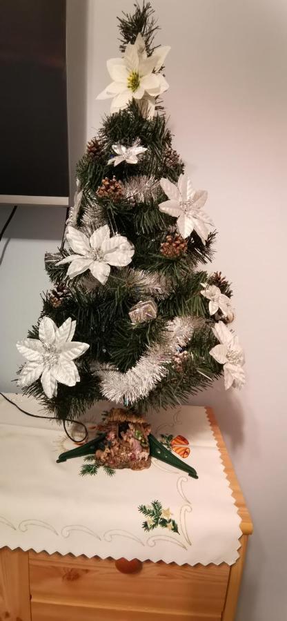 Apartament Milka W Dusznikach Zdroju Duszniki Zdrój Kültér fotó