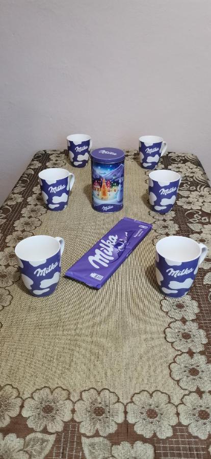 Apartament Milka W Dusznikach Zdroju Duszniki Zdrój Kültér fotó