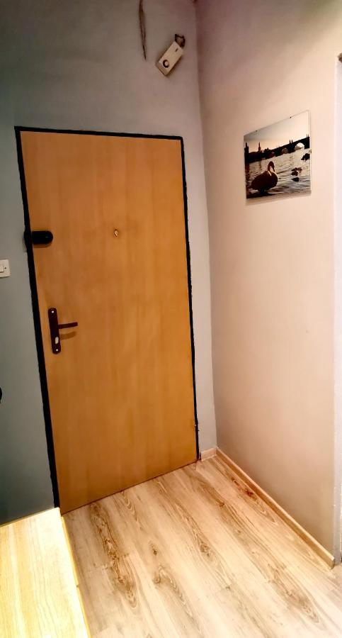 Apartament Milka W Dusznikach Zdroju Duszniki Zdrój Kültér fotó