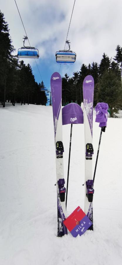Apartament Milka W Dusznikach Zdroju Duszniki Zdrój Kültér fotó