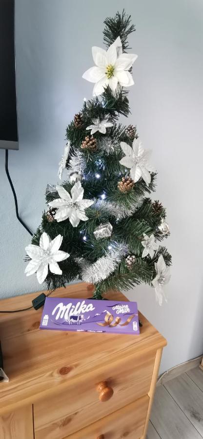 Apartament Milka W Dusznikach Zdroju Duszniki Zdrój Kültér fotó